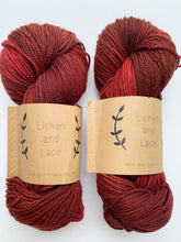Load image into Gallery viewer, Lichen and Lace Superwash Worsted