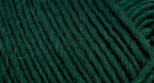Load image into Gallery viewer, Lamb's Pride Worsted
