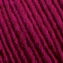 Load image into Gallery viewer, Lamb's Pride Worsted