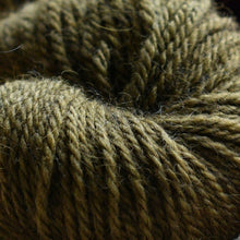 Load image into Gallery viewer, Corrie Worsted