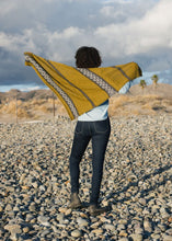 Load image into Gallery viewer, Penn