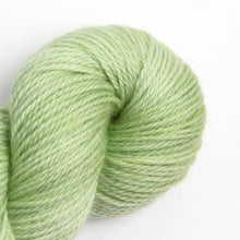 Load image into Gallery viewer, Wensley Worsted