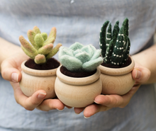 Load image into Gallery viewer, Succulents Needle Felting Kit