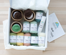 Load image into Gallery viewer, Succulents Needle Felting Kit