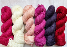 Load image into Gallery viewer, Year Long Afghan Kits