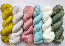 Load image into Gallery viewer, Year Long Afghan Kits