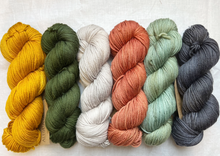 Load image into Gallery viewer, Year Long Afghan Kits