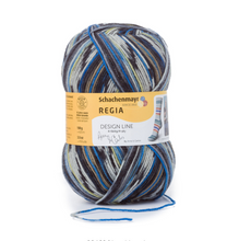 Load image into Gallery viewer, Regia 4-Ply Sock Yarn