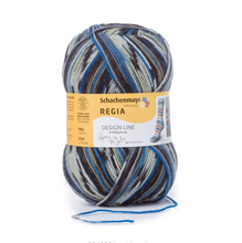 Load image into Gallery viewer, Regia 4-Ply Sock Yarn
