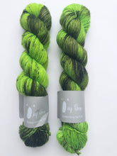 Load image into Gallery viewer, Qing Single