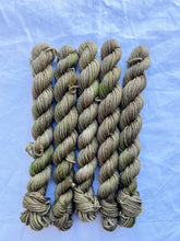 Load image into Gallery viewer, DK MINIS!