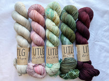 Load image into Gallery viewer, Scout Shawl Kit