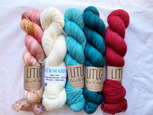 Load image into Gallery viewer, Scout Shawl Kit