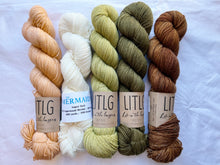 Load image into Gallery viewer, Scout Shawl Kit