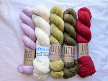 Load image into Gallery viewer, Scout Shawl Kit