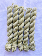 Load image into Gallery viewer, DK MINIS!