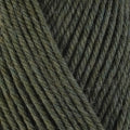 Load image into Gallery viewer, Ultra Wool Chunky