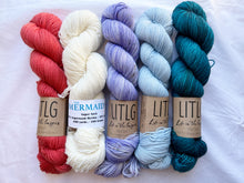 Load image into Gallery viewer, Scout Shawl Kit