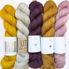 Load image into Gallery viewer, Scout Shawl Kit