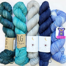 Load image into Gallery viewer, Scout Shawl Kit