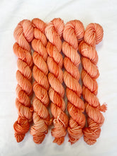 Load image into Gallery viewer, DK MINIS!