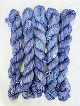 Load image into Gallery viewer, DK MINIS!