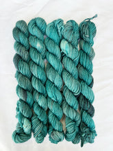 Load image into Gallery viewer, DK MINIS!