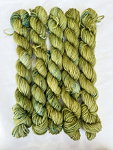 Load image into Gallery viewer, DK MINIS!