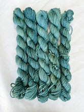 Load image into Gallery viewer, DK MINIS!