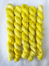 Load image into Gallery viewer, DK MINIS!