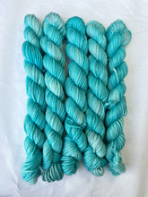 Load image into Gallery viewer, DK MINIS!