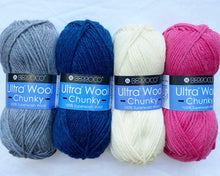 Load image into Gallery viewer, Sharon's Glamping Blanket Kits in Ultra Wool Chunky