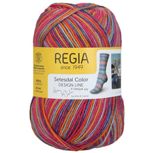 Load image into Gallery viewer, Regia 4-Ply Sock Yarn
