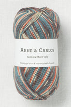 Load image into Gallery viewer, Arne &amp; Carlos Sock &amp; More 4Ply
