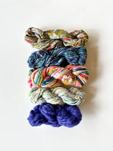 Load image into Gallery viewer, Mini Skein Sampler Kit

