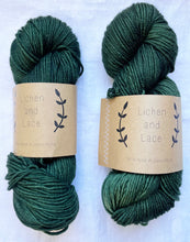 Load image into Gallery viewer, Lichen and Lace Superwash Worsted
