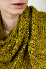 Load image into Gallery viewer, Textured Knits by Paula Pereira
