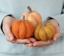 Load image into Gallery viewer, Felted Pumpkins Workshop
