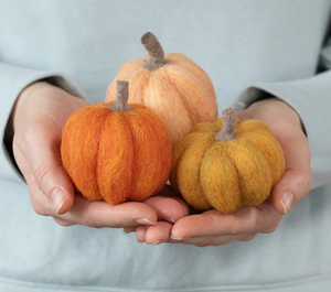 Felted Pumpkins Workshop