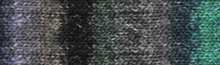 Load image into Gallery viewer, Noro Silk Garden
