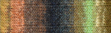 Load image into Gallery viewer, Noro Silk Garden
