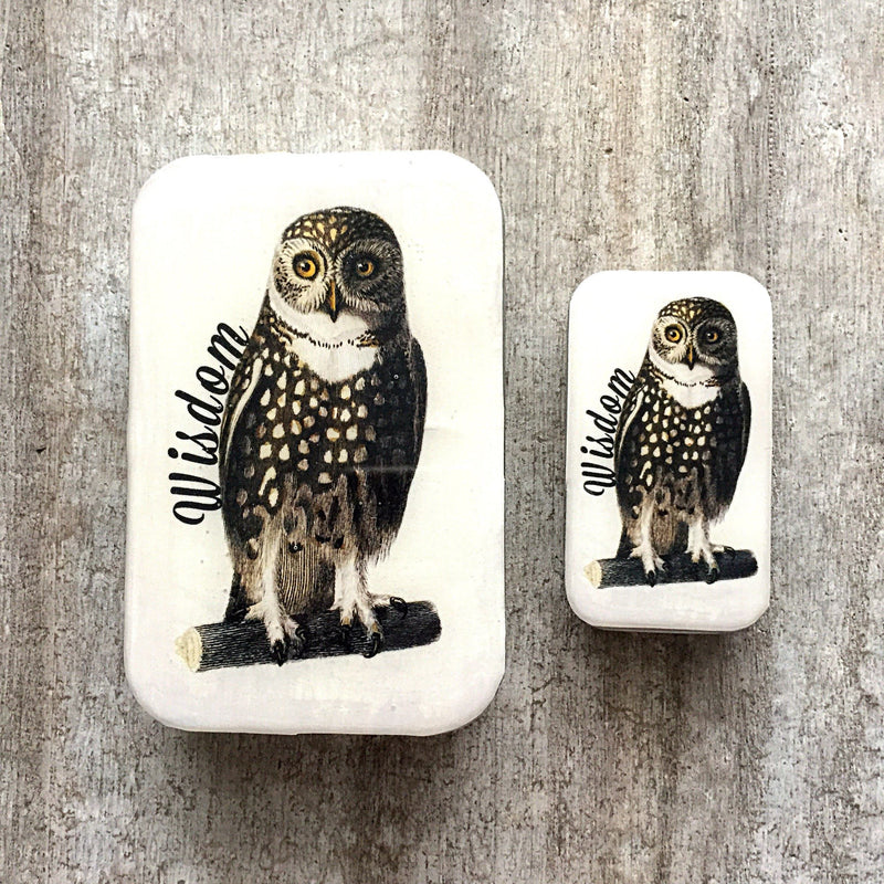 Wise Owl Notions Tin