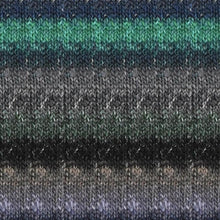 Load image into Gallery viewer, Noro Silk Garden
