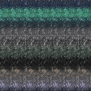 Noro Silk Garden