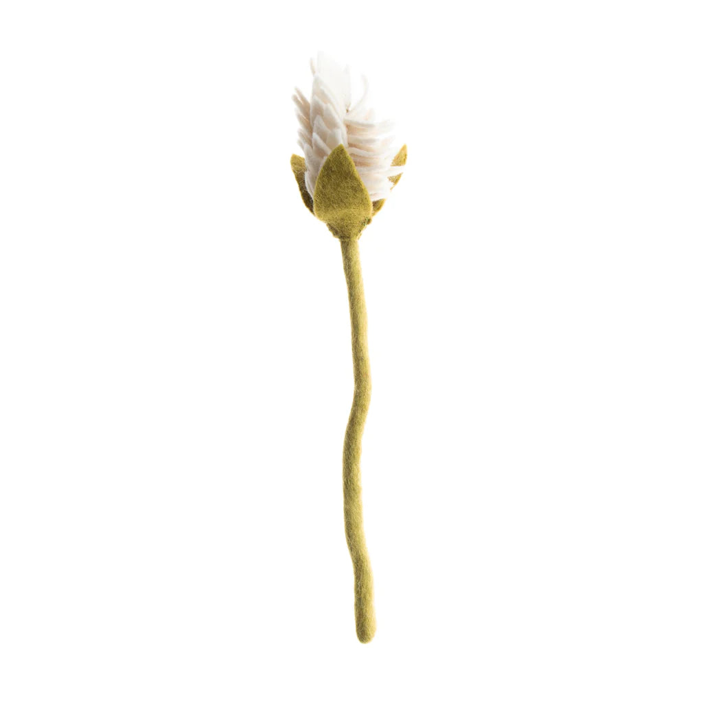 Felted Alpinia