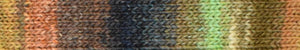 Noro Silk Garden