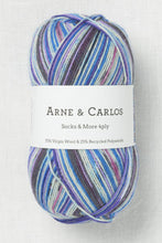 Load image into Gallery viewer, Arne &amp; Carlos Sock &amp; More 4Ply
