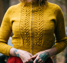 Load image into Gallery viewer, LYS (Little Yellow Sweater)
