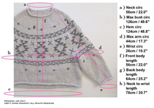 Load image into Gallery viewer, Rug Sweater Kit
