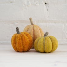 Load image into Gallery viewer, Felted Pumpkin kit
